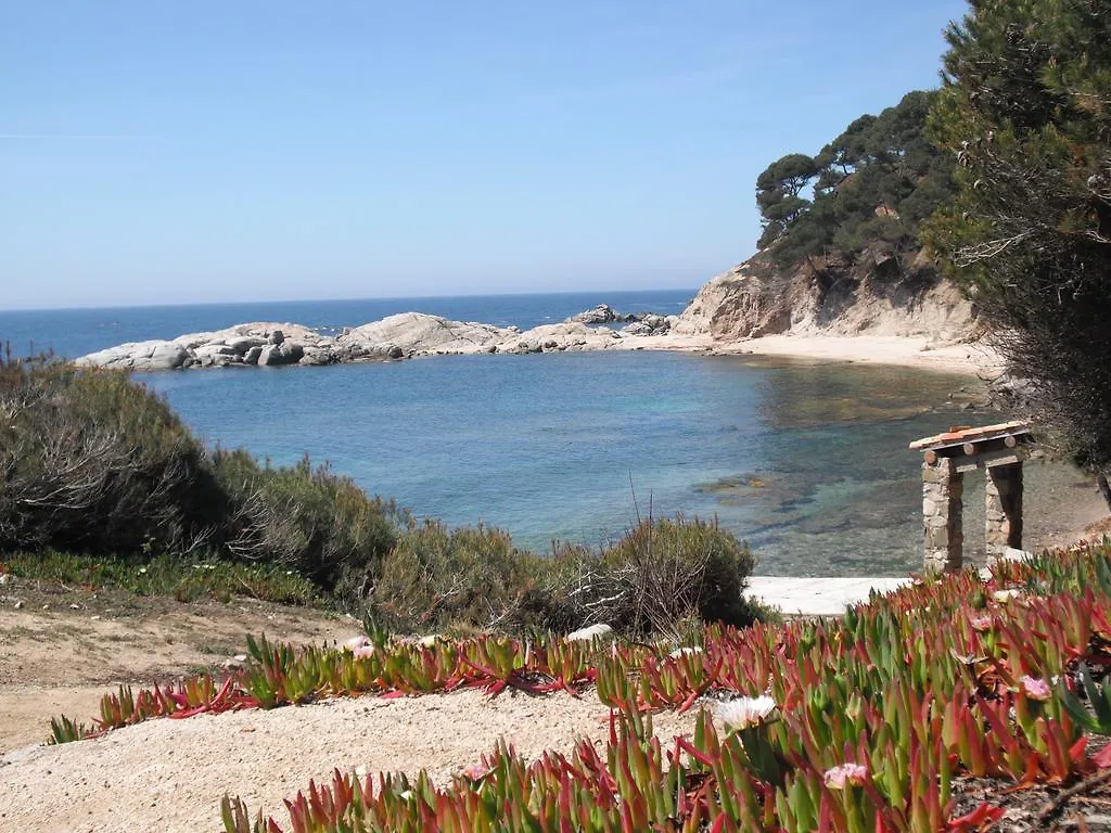 Apartment Royal S'Alguer Lafosca Hotel Palamos Spain