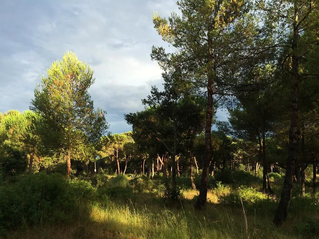 Royal S'Alguer Lafosca Hotel Palamos