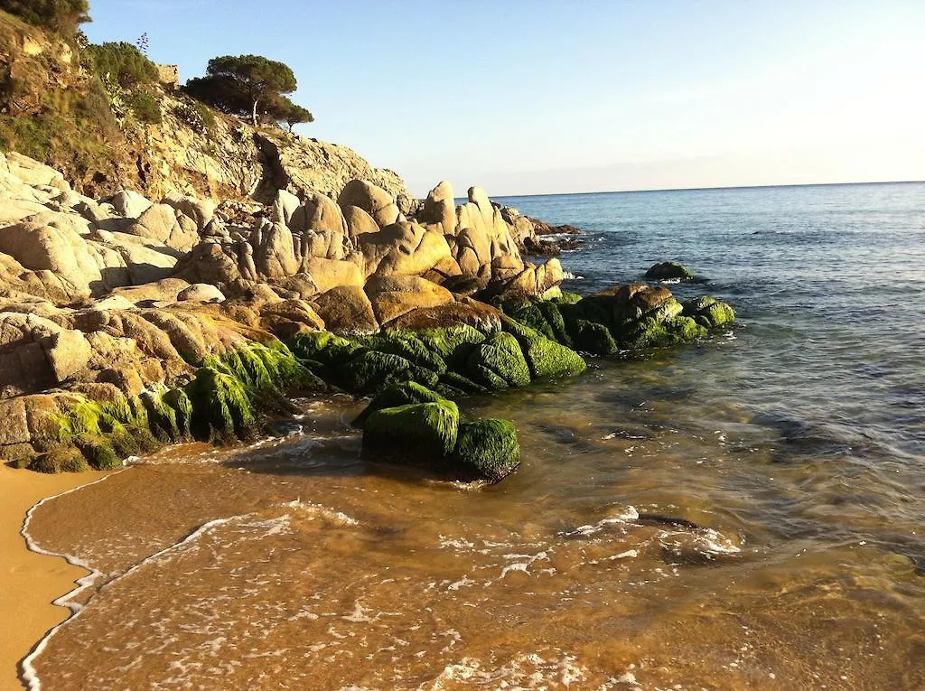 Royal S'Alguer Lafosca Hotel Palamos